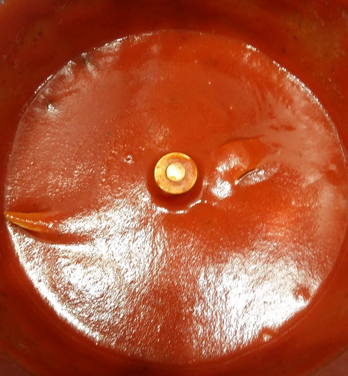 biogel04 1