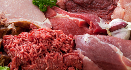 biogel04 meat3