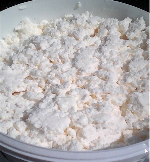 biogel05 1
