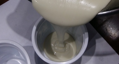 biomix06 2