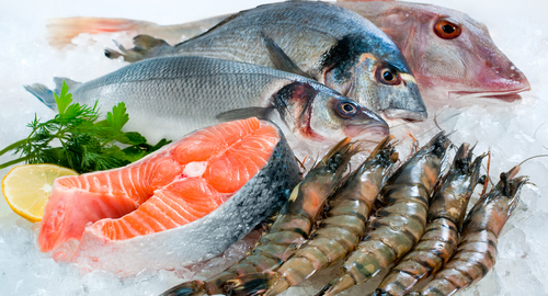fish3